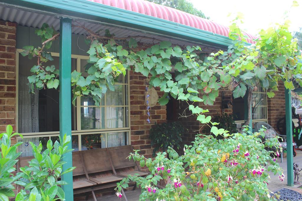 Blue Gum Cottage On Bay Bensville Pokój zdjęcie